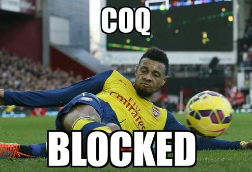 Coq blocked